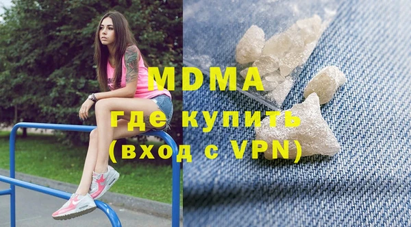 шишки Няндома