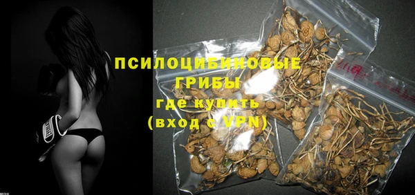 шишки Няндома