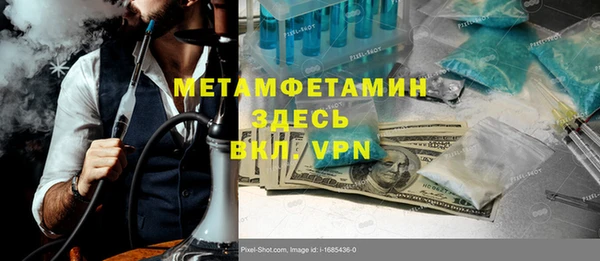 шишки Няндома