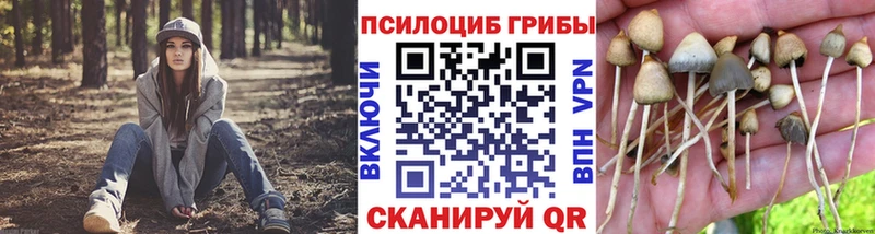 как найти закладки Шиханы Псилоцибиновые грибы GOLDEN TEACHER
